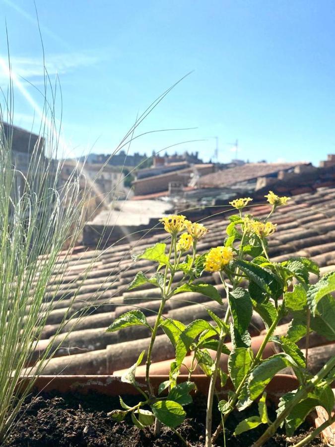 Rooftop Face à La Cité 'rfc' Bed and breakfast Carcasona